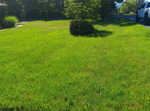 Robert M.'s Lawn Service service result