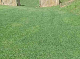 Linda R.'s Lawn Care service result