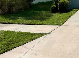 Laura E.'s Lawn Mowing service result