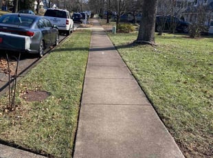 Debbie B.'s Yard Cutting service result