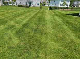 Brian G.'s Grass Cutting service result
