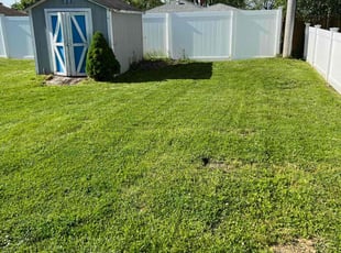 Alejandra B.'s Lawn Maintenance service result