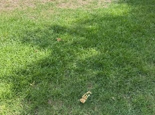 Aeration by M D for Ana T. in Tulsa, OK
