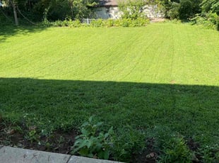 Elva T.'s Lawn Mowing Service service result