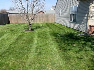 Marilynn H.'s Grass Cutting service result