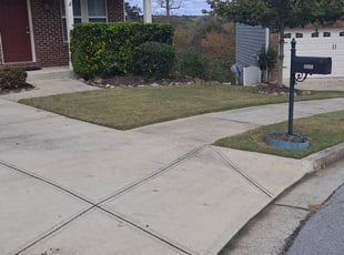 Bush Trimming by Jason Mauldin for Paul K. in Sugar Hill, GA