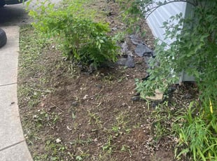 Landscaping by Thomas Thetford for Victoria M. in Saint Charles, MO