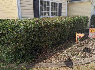Bush Trimming by Zachary Schwarz for Cortnie E. in Indian Land, SC