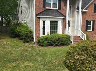 Fang L.'s Grass Cutting service result