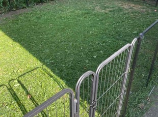 Teresa L.'s Lawn Care service result