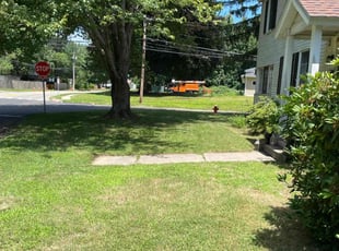 Erick H.'s Yard Cutting service result
