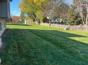 Dana G.'s Grass Cutting service result
