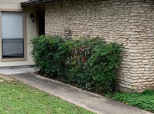 Bush Trimming by Laron Jackson for Conor F. in Austin, TX