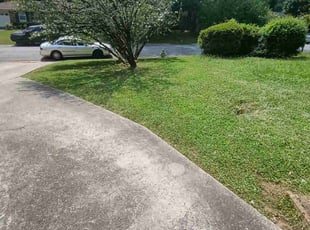 Weeding by Omayma Saleh for William P. in Clarkston, GA