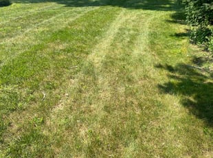 Ebony H.'s Lawn Service service result