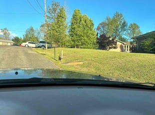 Rausilune G.'s Lawn Mowing service result
