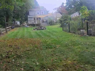 Kimmie B.'s Lawn Care service result