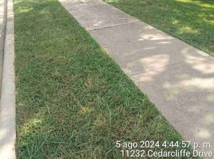 Richard R.'s Yard Cutting service result