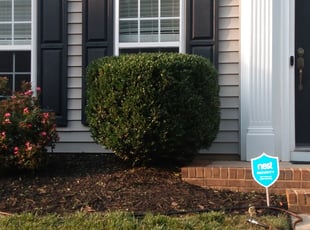 Bush Trimming by Joseph Clawson for Cori S. in Huntersville, NC