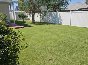 Peter B.'s Lawn Mowing service result