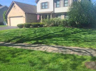 Leonardo R.'s Lawn Care service result