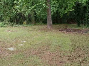 Leaf Removal by Lionel Lee for Quinn F. in Decatur, GA