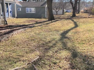 Leaf Removal by Soon Pils for Brooke T. in Mission, KS