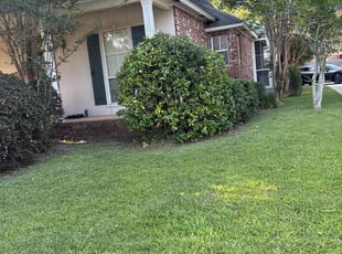 Cleanups by Jerry Wells for Jessica S. in Zachary, LA