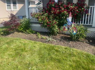 Weeding by Carlos Ortiz for Julianne M. in Rocky River, OH
