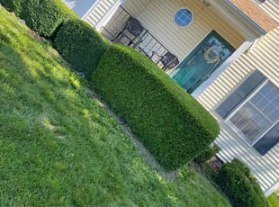 Bush Trimming by Buckeye Touch for Toya B. in Columbus, OH