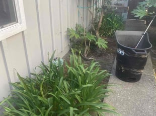 Weeding by Michael Leftridge for Rita B. in Vallejo, CA