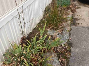 Weeding by Bryan Crowder for Paul F. in Newark, DE