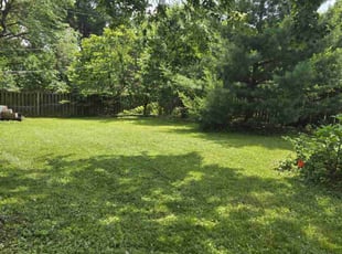 Nick I.'s Lawn Service service result