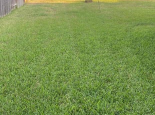norvell C.'s Lawn Mowing service result