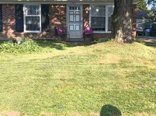 Cleanups by Chris Slone for Elsie F. in Louisville, KY