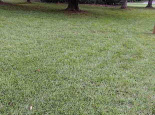 Christian H.'s Lawn Care service result