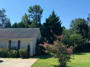 Tom S.'s Lawn Maintenance service result