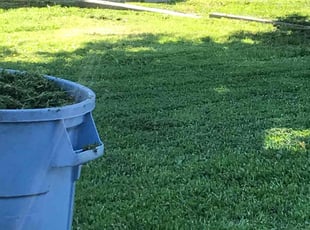 Richard L.'s Yard Cutting service result