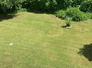 Leaf Removal by Prince Davis for Rufaida A. in Stone Mountain, GA