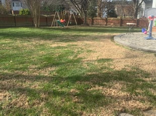 Leaf Removal by Mark Middlebrook for Vijay P. in Glen Allen, VA