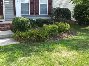 Bush Trimming by Vicente JuΓ‘rez for Easha N. in Concord, NC