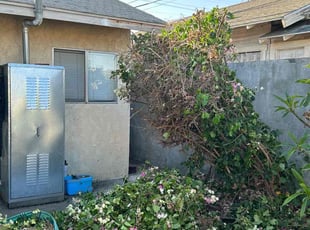 Bush Trimming by Jacob Gallegos for Misael O. in Los Angeles, CA