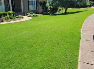Tobias W.'s Lawn Mowing service result