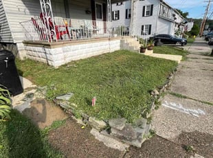 Carmen J.'s Lawn Mowing service result