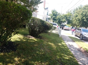Bush Trimming by William Perdigon for April C. in Philadelphia, PA