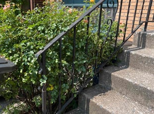 Bush Trimming by Cody Phillips for Karen L. in Bethlehem, PA