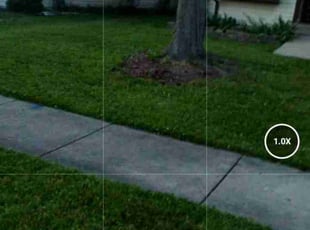 Debbie C.'s Lawn Care service result