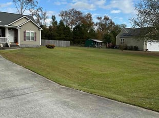 nirvanah L.'s Lawn Care service result