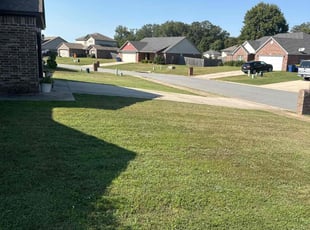 Robert M.'s Lawn Mowing service result
