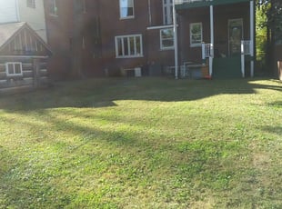 Leaf Removal by Chris Slone for Thomas B. in Louisville, KY